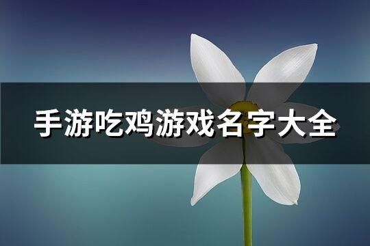 手游吃鸡游戏名字大全(340个)