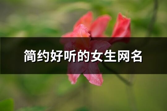 简约好听的女生网名(235个)