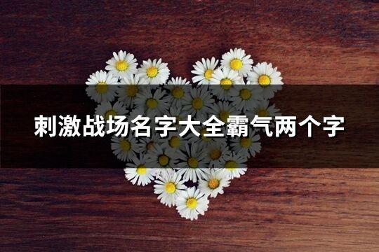 刺激战场名字大全霸气两个字(325个)