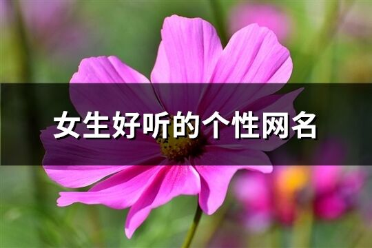 女生好听的个性网名(精选277个)