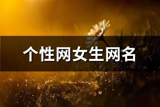 个性网女生网名(精选178个)