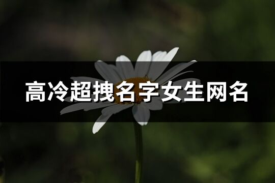 高冷超拽名字女生网名(260个)