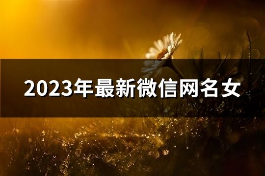 2023年最新微信网名女(共1027个)