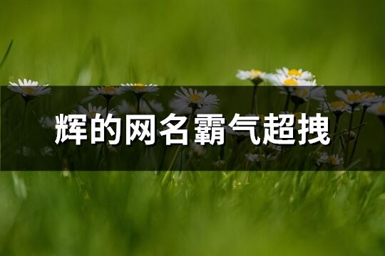 辉的网名霸气超拽(共66个)