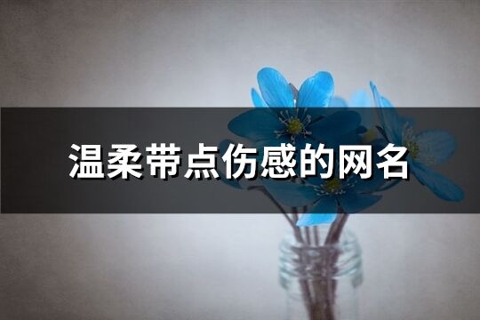 温柔带点伤感的网名(优选163个)
