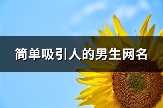 简单吸引人的男生网名(662个)