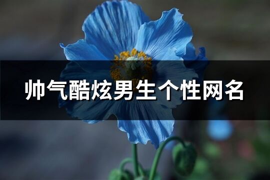 帅气酷炫男生个性网名(优选257个)