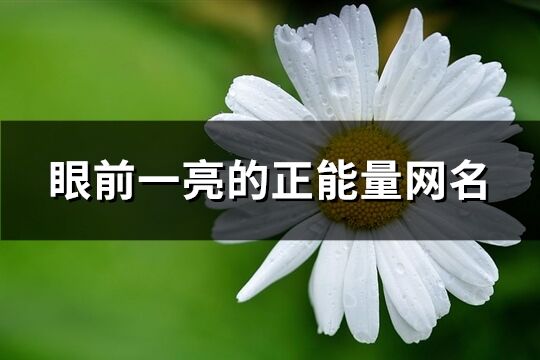 眼前一亮的正能量网名(226个)