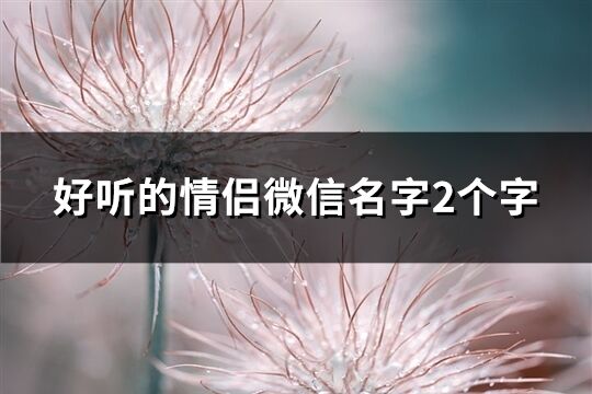 好听的情侣微信名字2个字(精选140个)