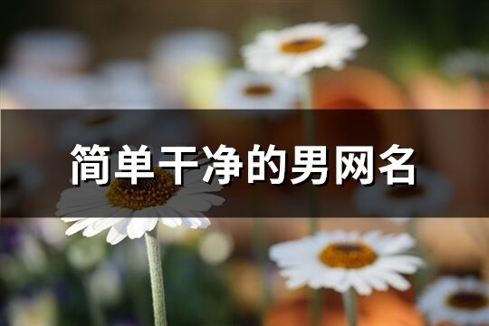 简单干净的男网名(1125个)