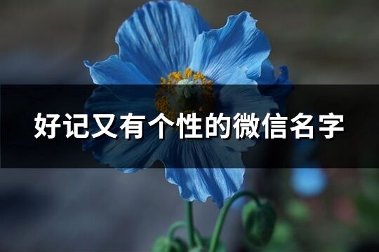 好记又有个性的微信名字(219个)