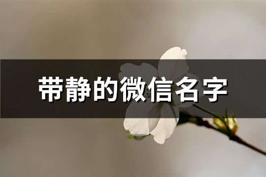 带静的微信名字(优选170个)