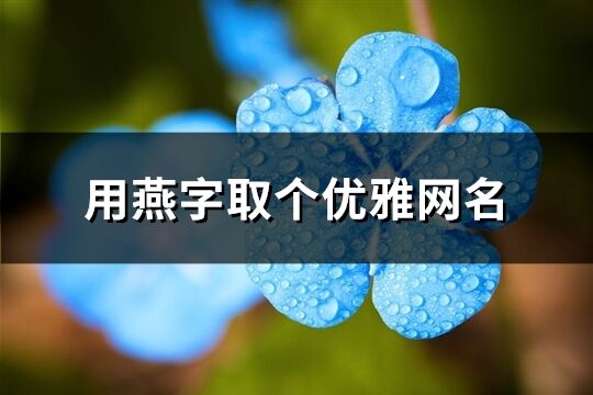 用燕字取个优雅网名(优选115个)