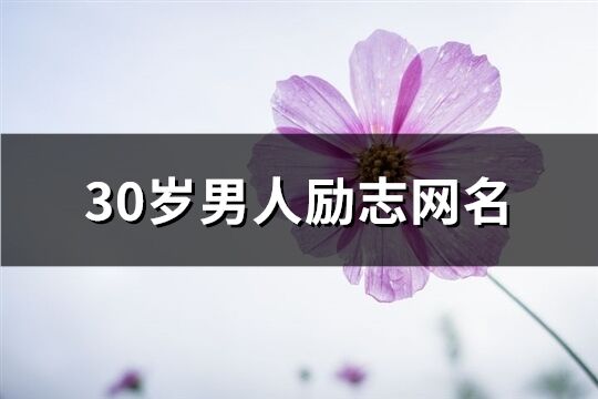 30岁男人励志网名(优选160个)