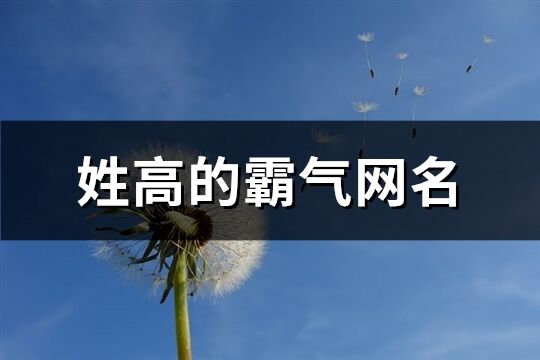 姓高的霸气网名(精选92个)