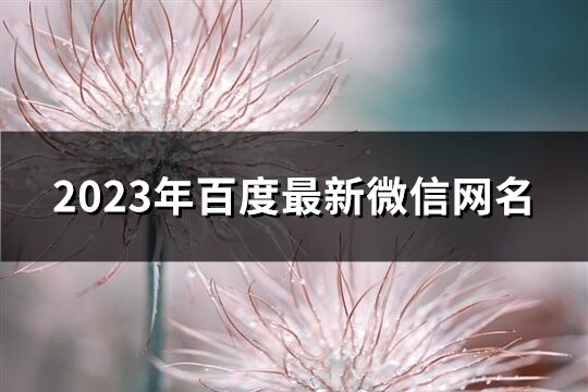 2023年百度最新微信网名(优选1255个)