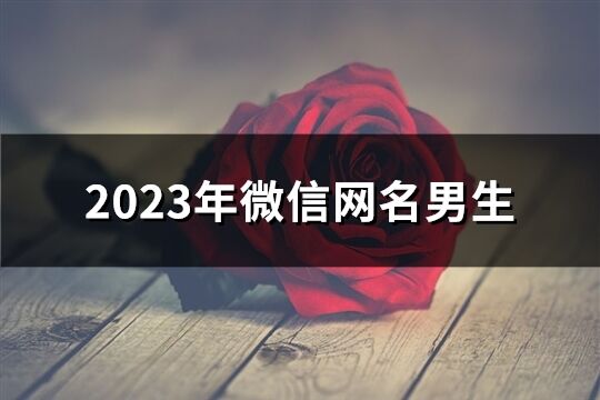 2023年微信网名男生(共801个)