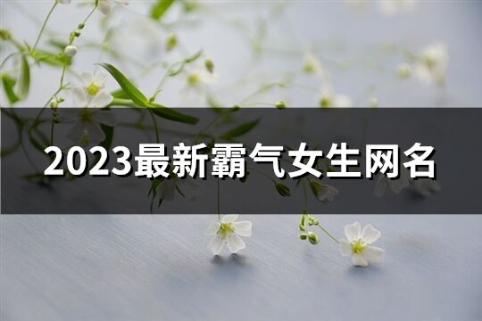 2023最新霸气女生网名(共784个) 2023最新霸气女生网名(共784个)