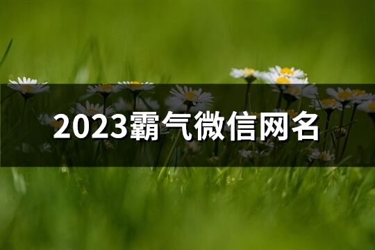 2023霸气微信网名(612个)