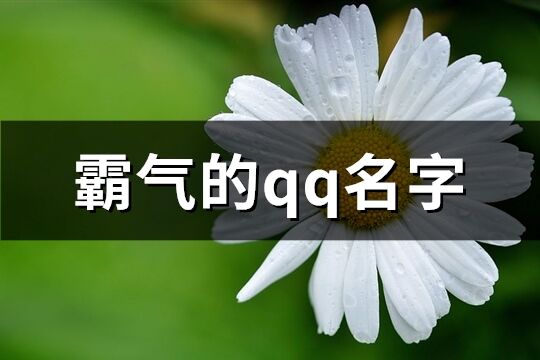 霸气的qq名字(共161个)