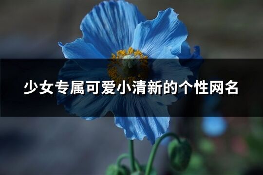 少女专属可爱小清新的个性网名(209个)