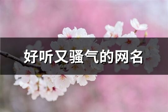 好听又骚气的网名(共399个)