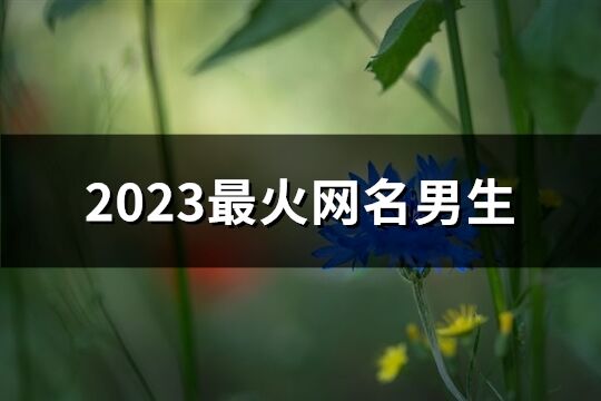 2023最火网名男生(精选392个)