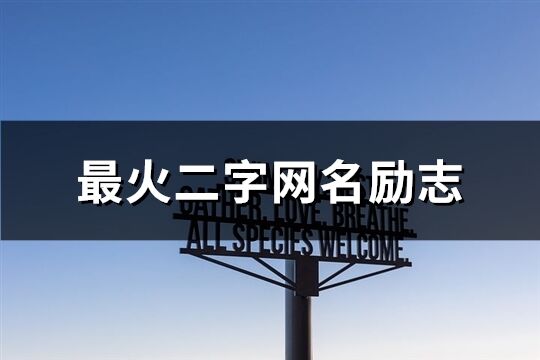 最火二字网名励志(339个)