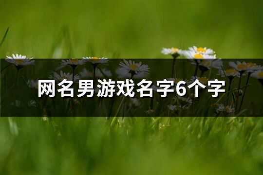 网名男游戏名字6个字(427个)