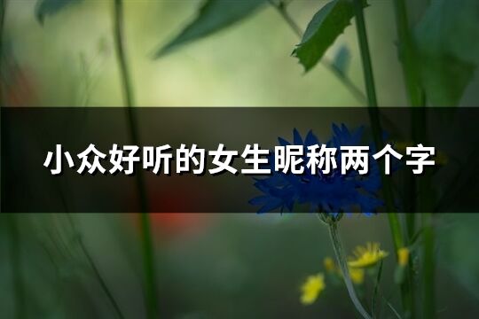 小众好听的女生昵称两个字(共639个)