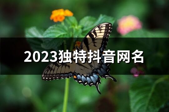 2023独特抖音网名(1553个)