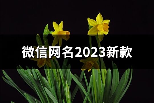 微信网名2023新款(精选661个)