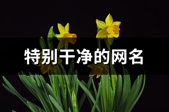 特别干净的网名(精选801个)