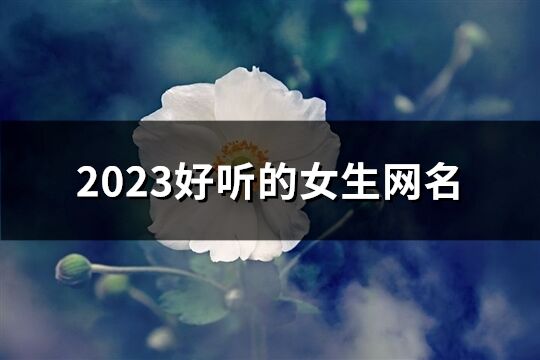 2023好听的女生网名(共579个)