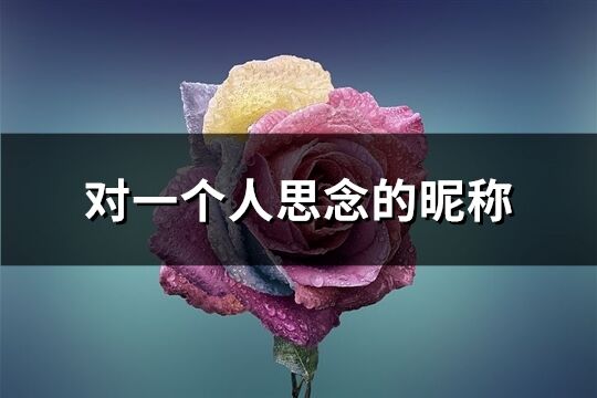 对一个人思念的昵称(精选339个)