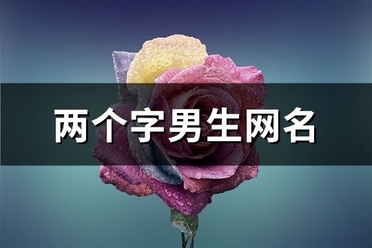 两个字男生网名(610个)