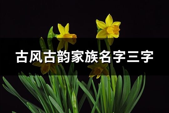 古风古韵家族名字三字(124个)