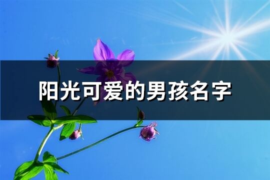 阳光可爱的男孩名字(精选109个)