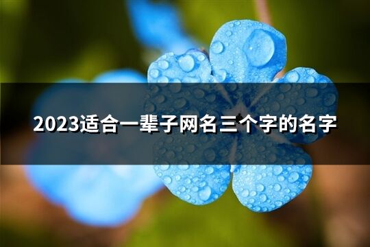 2023适合一辈子网名三个字的名字(精选1101个)