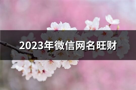 2023年微信网名旺财(共996个)