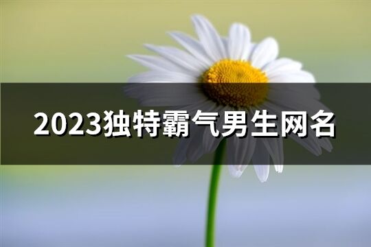 2023独特霸气男生网名(精选1127个)