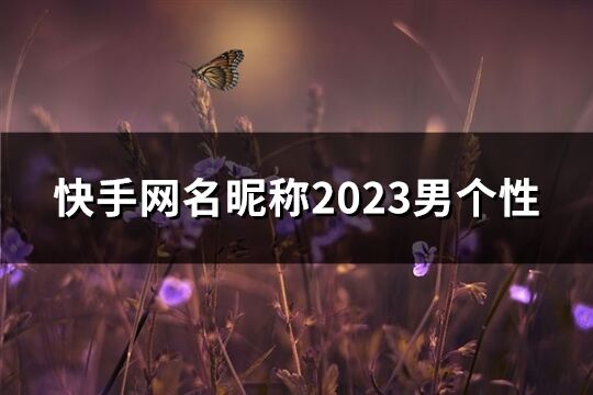 快手网名昵称2023男个性(共551个)