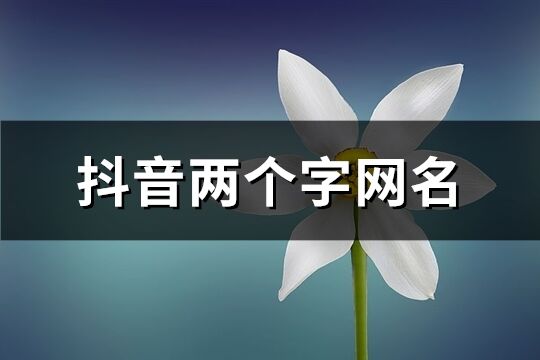 抖音两个字网名(优选787个)