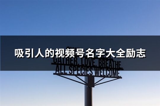 吸引人的视频号名字大全励志(共169个)