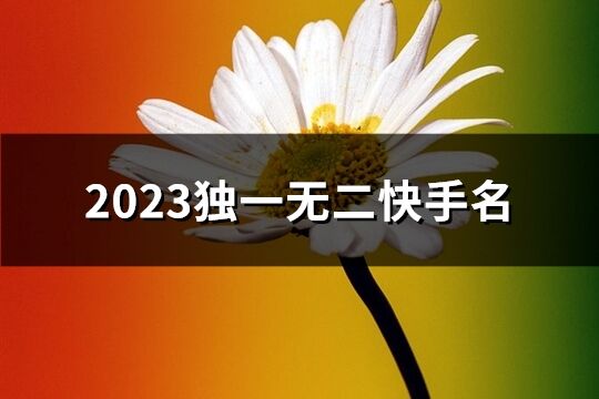 2023独一无二快手名(361个)