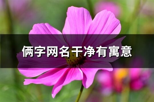 俩字网名干净有寓意(优选626个)