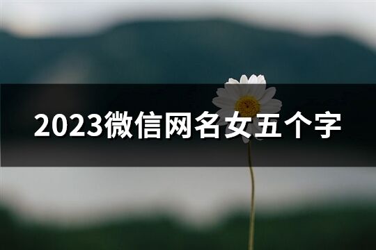 2023微信网名女五个字(429个) 2023微信网名女五个字(429个)