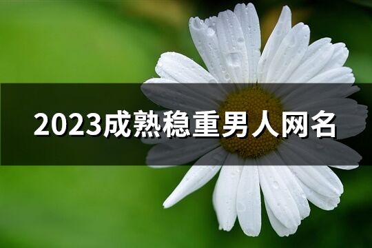 2023成熟稳重男人网名(共708个)
