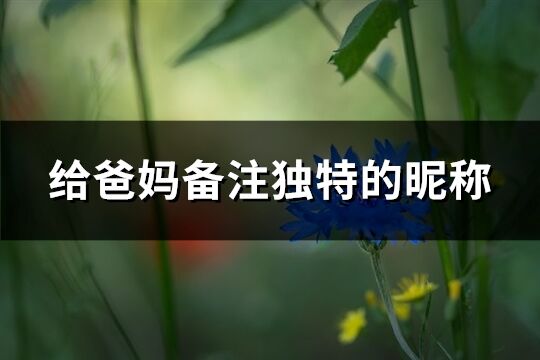 给爸妈备注独特的昵称(共60个)