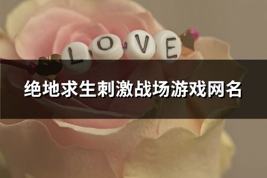 绝地求生刺激战场游戏网名(优选477个) 绝地求生刺激战场游戏网名(优选477个)